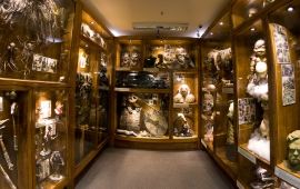 惠灵顿威塔之家天气预报,历史气温,旅游指数,威