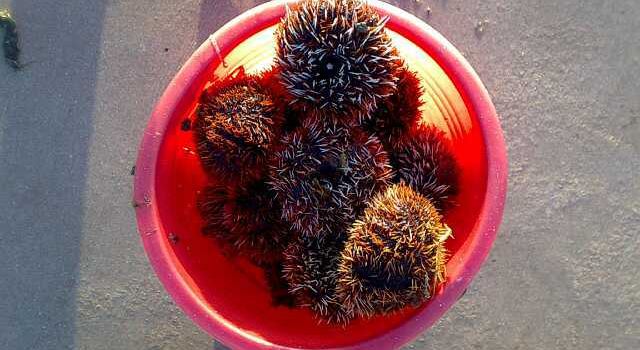 2014西沙群岛旅游攻略,自助游\/自驾\/出游\/自由