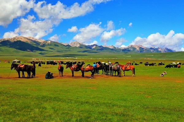 心灵的净土--甘南 - 兰州游记攻略