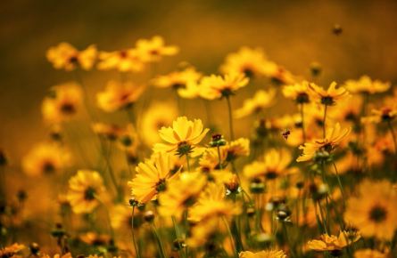 福州永泰云顶景区游玩