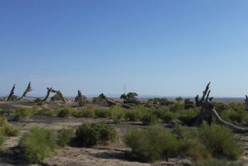 跨越天山:寻找心中那-份静宓 - 游记攻略