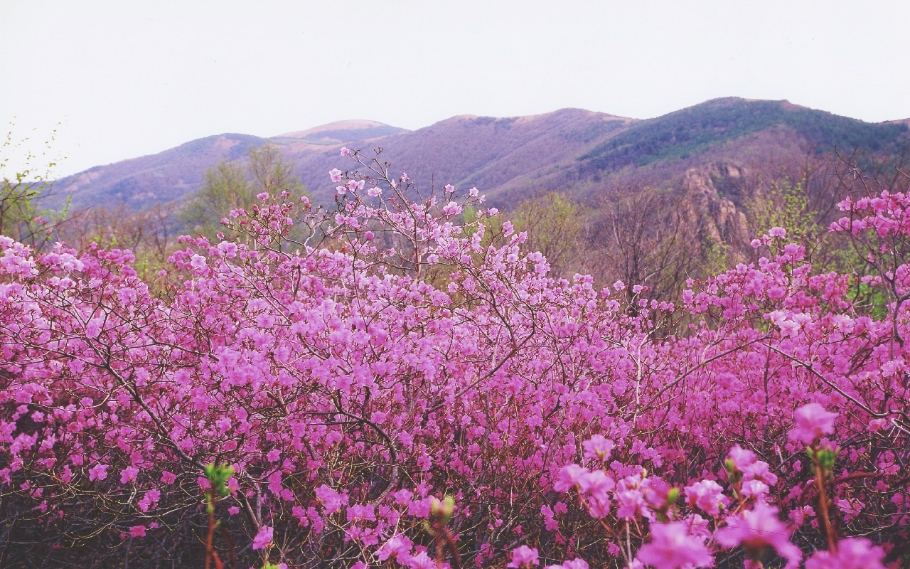 小珠山