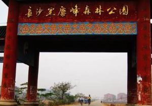 黑麋峰森林公园