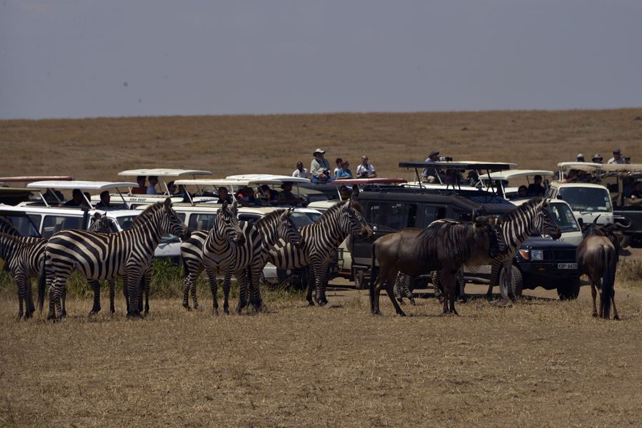 迪拜12日游记:(二)返回内罗毕,东非大裂谷,马赛马拉 masai mara