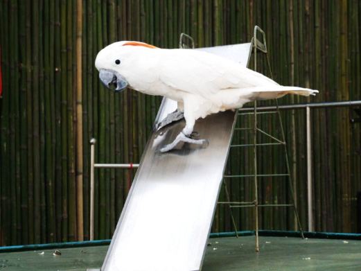 焦作风景图片,焦作旅游景点照片\/图片\/图库\/相册