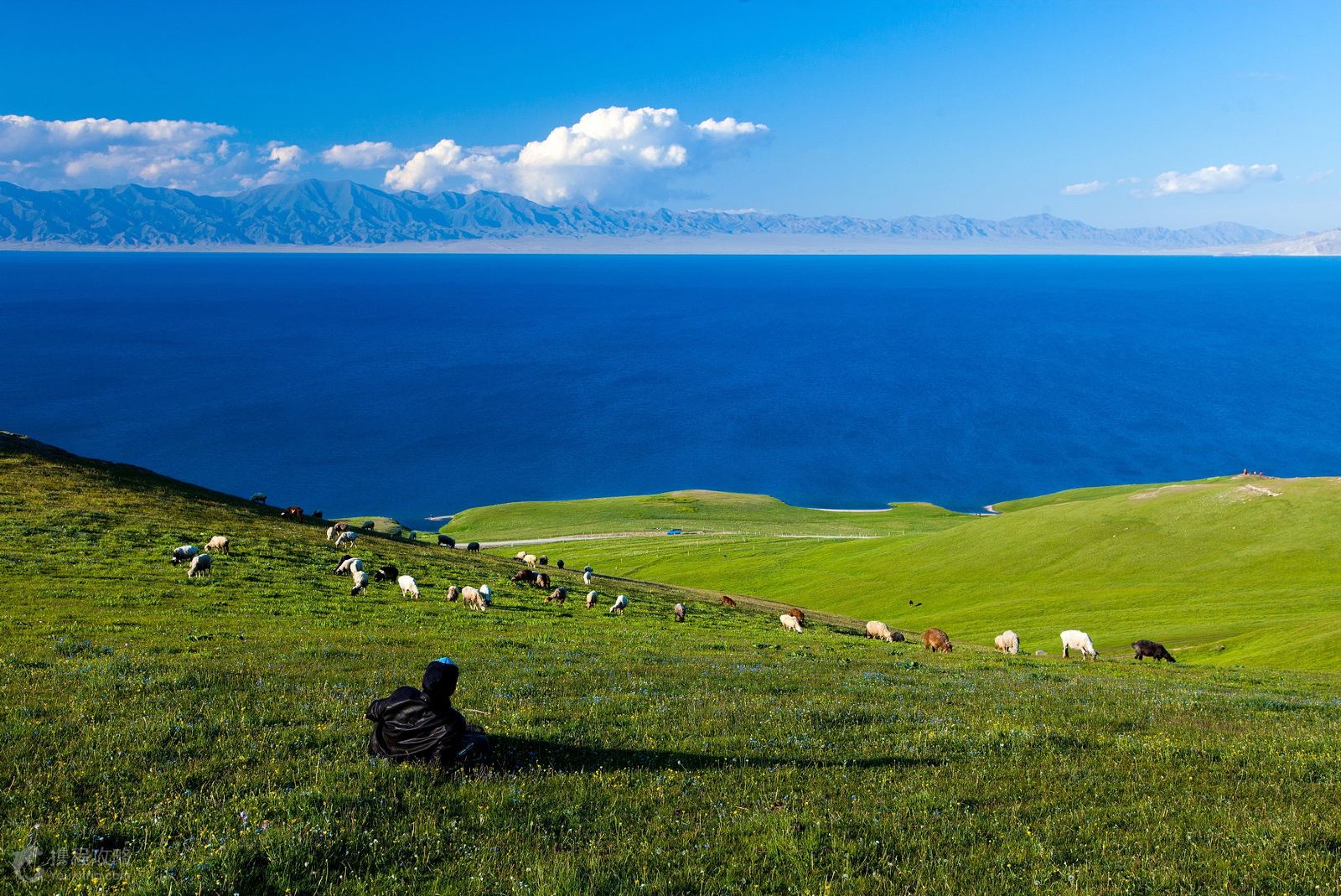 赛里木湖简谱_赛里木湖的云简谱(2)
