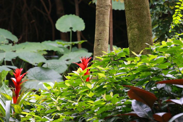 厦门的高度,退休夫妇认真踏实的厦门三日自由
