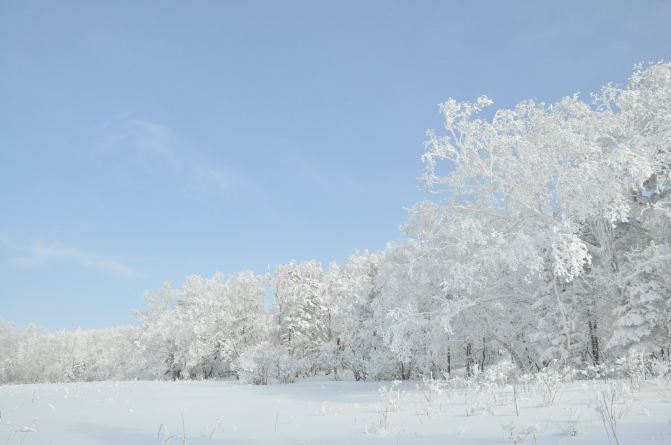 哈尔滨原生态东升林场1日游,美食、雪景玩个遍