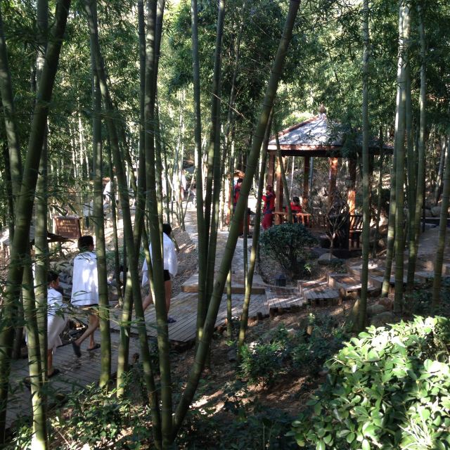 竹林温泉-天荒坪