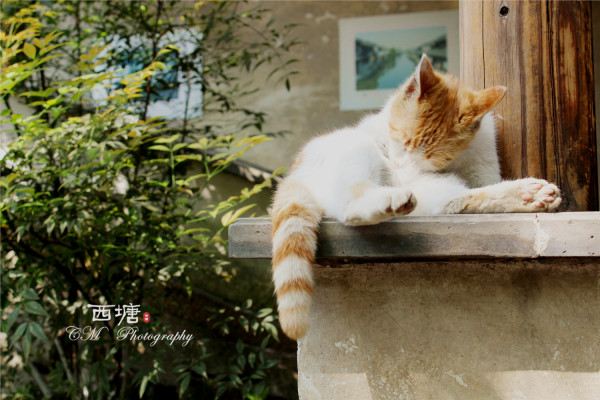 【i旅行】2014一个人的说走就走的春游华东