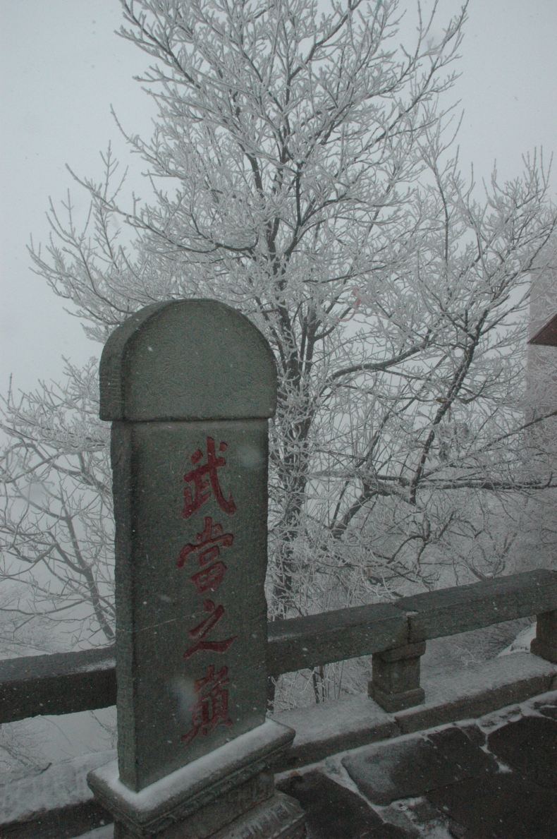 2011年春节河南、湖北旅游流水账 - 郑州游记