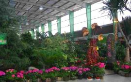 【德州天气预报】德州天气预报一周查询,明天