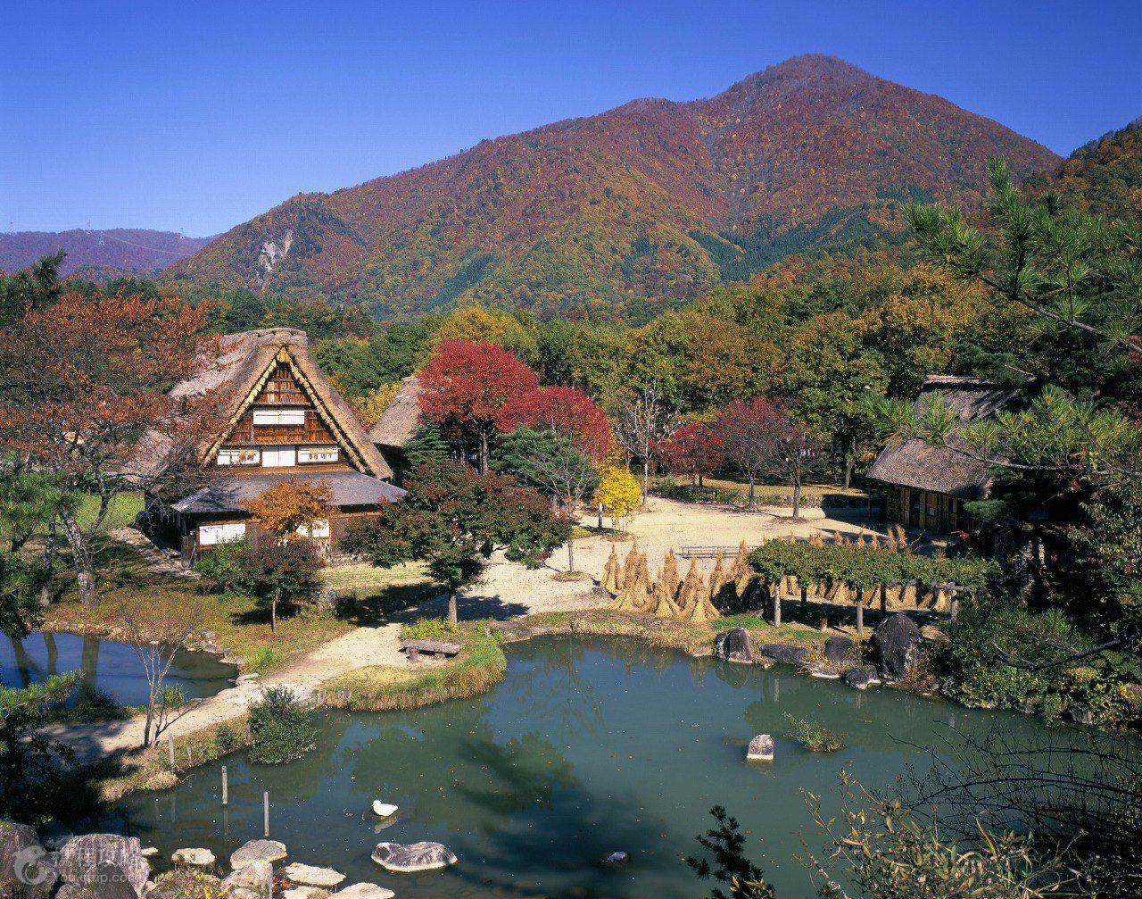 日本大阪+京都+箱根+东京6日5晚跟团游(3钻)·直飞 伊豆古汤日式美食 世界遗产 秋赏红叶 -【携程旅游】