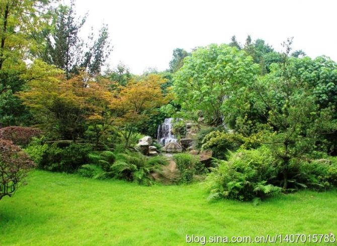 暑期四川扶老携幼亲子游 - 成都游记攻略