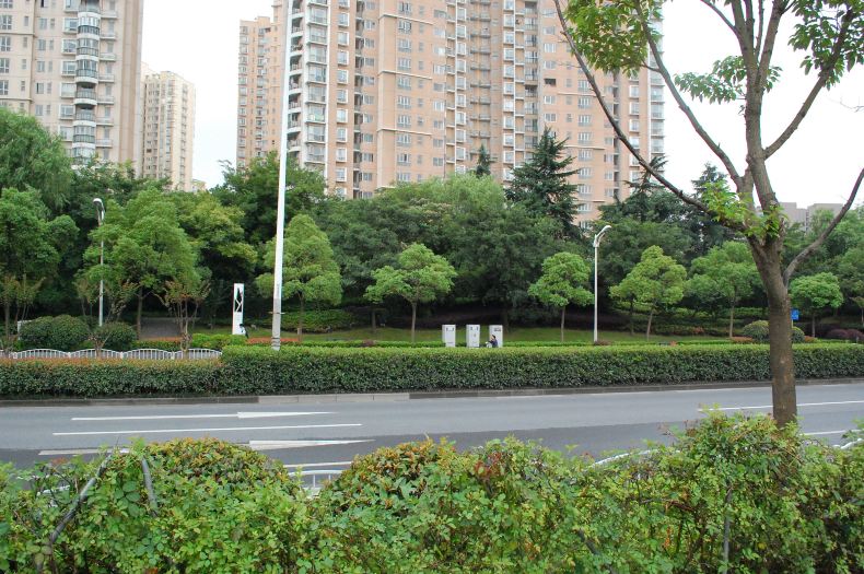 古北路风景,以及往事。 - 上海游记攻略