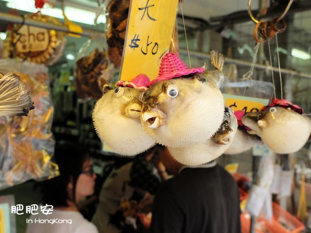 吃货香港4天小资自由行,大澳、东涌、中环、上