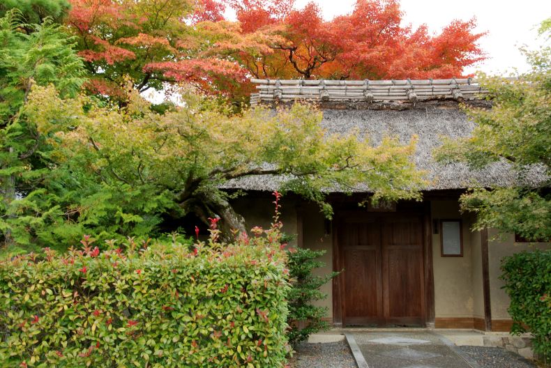 嵯峨野:竹林游记汤豆腐-京都攻略攻略金庸群侠传x0.3完美小径图片