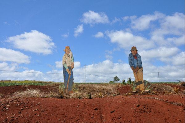 情侣夏威夷8日浪漫小资海滨度假游,附美国签证