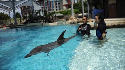 水上探险乐园门票,水上探险乐园门票价格,水上