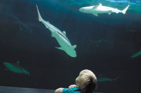 温哥华景点门票多少钱_ 温哥华景点门票价格_