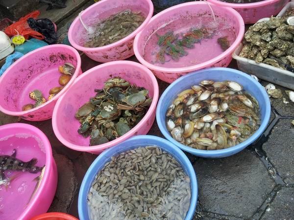 轻松自在上川岛旅游攻略-可上下川岛联游攻略