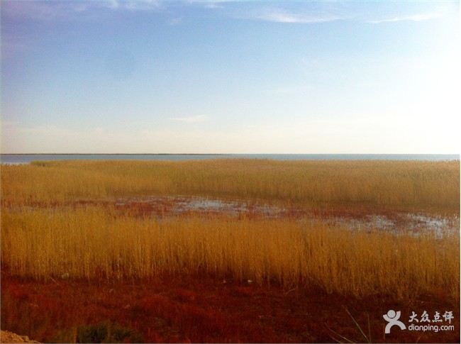 川北甘南内蒙,草原沙漠胡杨林~ - 额济纳旗游记