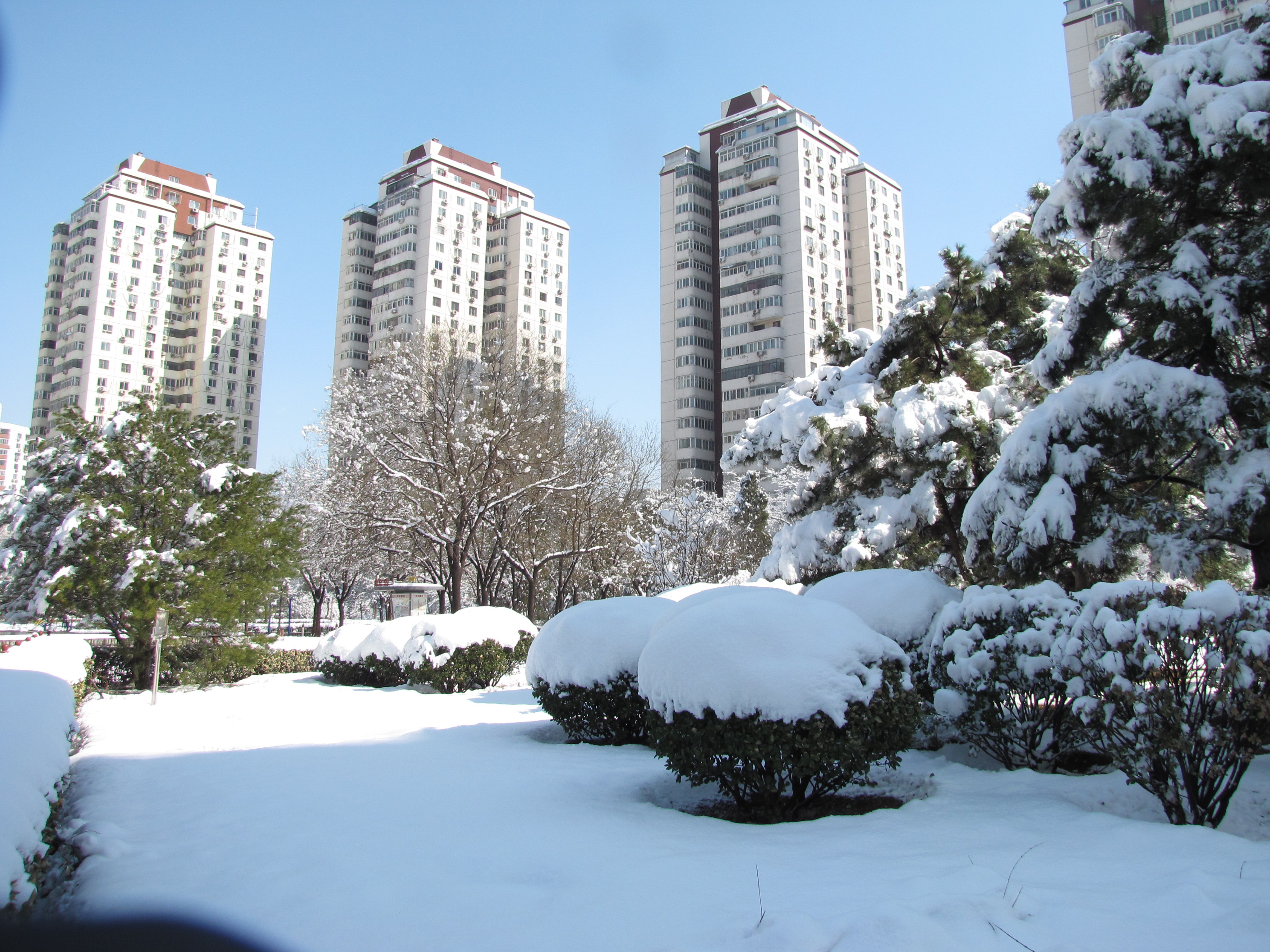 今年冬天北京无雪,奉献我保存的前二年四次雪景照片