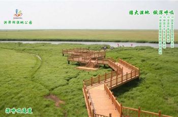 洪泽湖湿地公园,泗洪县洪泽湖湿地公园攻略\/地