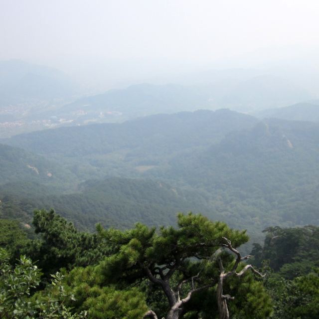 【望仙台】俯视美景!