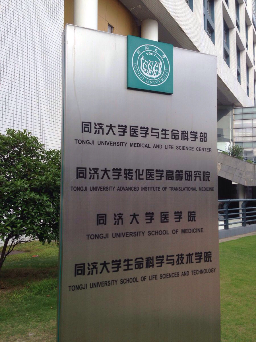 上海站-同济大学校园游