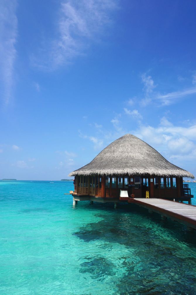 双黄honeymoon~马尔代夫薇拉瓦鲁AV岛 - 马累