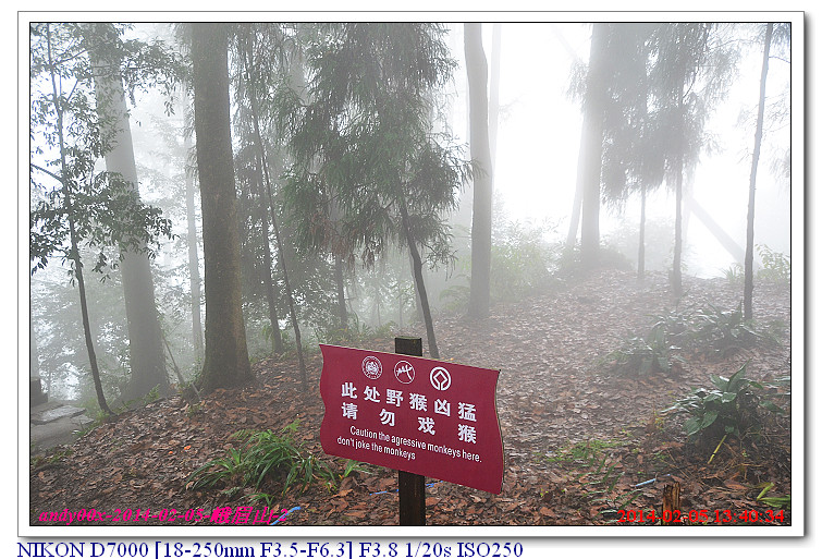 剛在雷洞坪下車時,感覺天氣實在太差,又冷又寒,路結冰難行, 本想回頭搭車下山,但還是忍住往上走! 山上氣溫極低所以往接引殿的階梯路面均有結冰難行 幸早有準備釘鞋應付,走道旁也有小販在出售簡易的防滑襪 在上山的路上遊客十分多整個走道人擠人 另有遊客背帶著小小幼兒上山, 看著小小兒童身上只披一件薄雨衣,頭沒有戴帽,鼻涕流滿兩孔,十分可憐, 這麼冷的天,還帶小孩出遊,實在不解!