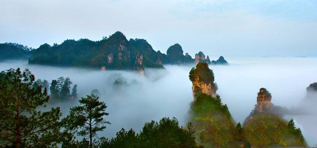 环境: 服务: 人均消费: 商户描述:云台山系级舞阳河风景区