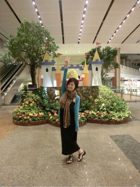 狮城旅游攻略 机票酒店门票签证等详情介绍 购