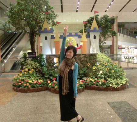 狮城旅游攻略 机票酒店门票签证等详情介绍 购