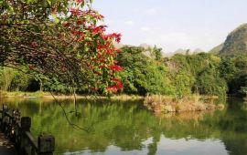 贵阳黔灵山公园天气预报,历史气温,旅游指数,黔