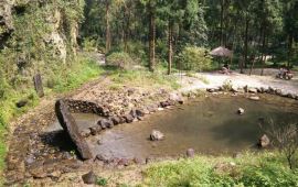 雁荡山雁荡山森林公园净名景区天气预报,历史