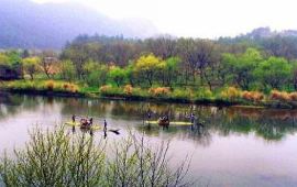 【练金溪天气预报】仙都练金溪天气预报一周,