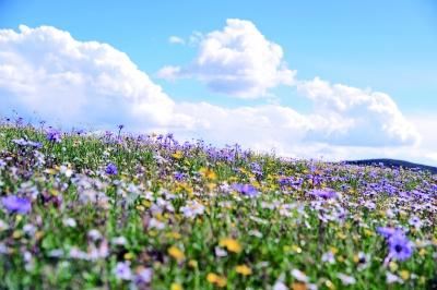 畅游九寨沟若尔大草原v草原全攻略-九寨沟游潮汕一日游攻略6图片