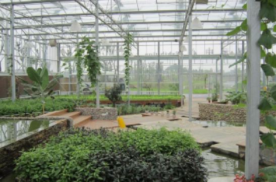 多利农庄_多利农庄 营业收入