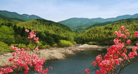 黄柏山国家森林公园门票多少钱_黄柏山国家森