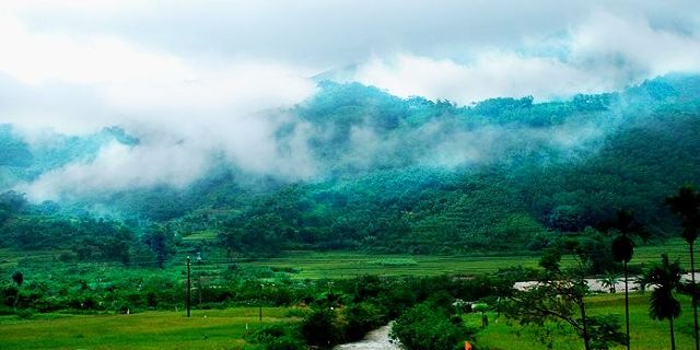 五指山热带雨林风景区门票多少钱_五指山热带