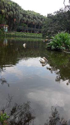 【携程攻略】深圳洪湖公园图片,洪湖公园旅游