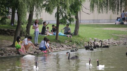 上海野生动物园门票多少钱_上海野生动物园门