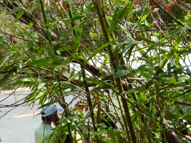 海南岛5日游 - 万宁游记攻略