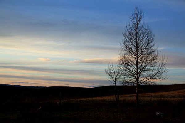 虫虫秋季之旅 梦寻临江 - 呼伦贝尔游记攻略 - 携