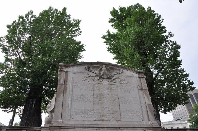 胖猫和小猪的美国之旅--二十五、自由之路 - 波