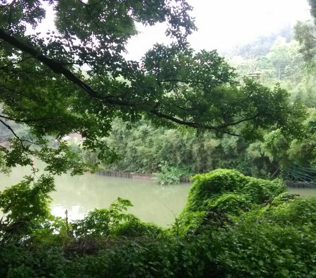 雨后空气清新,正是游园好时机.