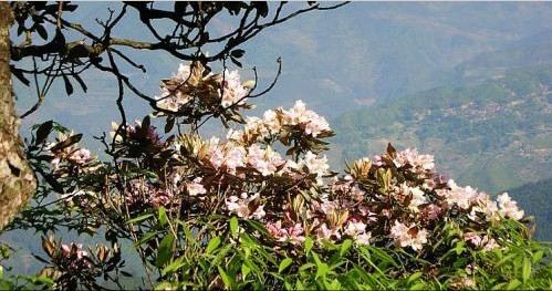 松阳风景图片,松阳旅游景点照片\/图片\/图库\/相册【携程攻略】