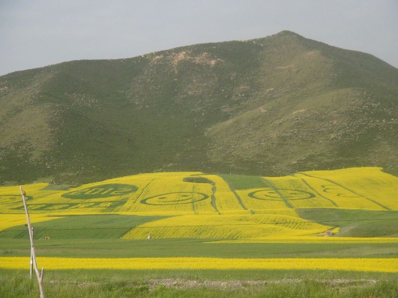 青岛-兰州-敦煌-嘉峪关-张掖-青海湖-塔尔寺 - 敦